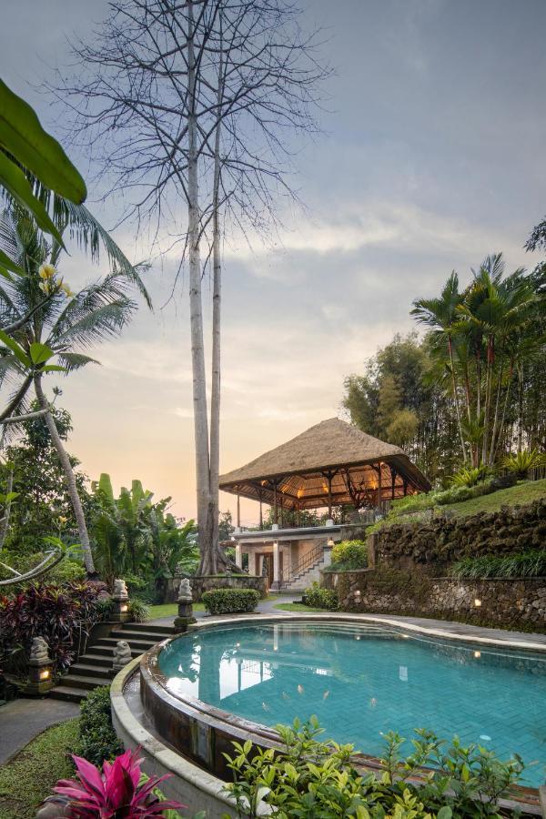 The Allure Hotel